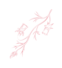 开云体育